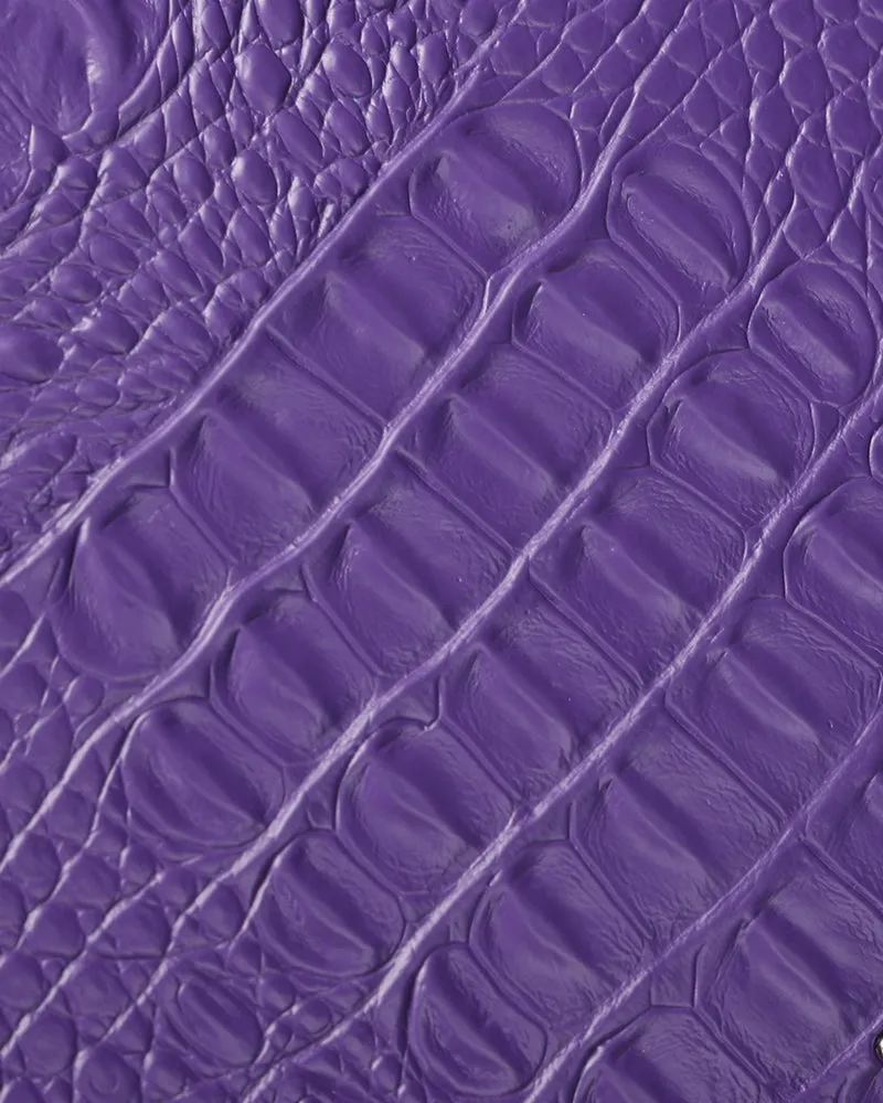 Apollo 2 Suitcase 2 Piece Set in Purple